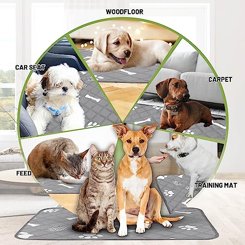 Image of PatiencET Washable Pee Pads for Dogs, 18'' x 24 inch Reusable Puppy Pads with Super Absorbent for Pet Training, Housebreaking and Incontinence, 2 Pack Puppy Potty Pads with Waterproof Bottom