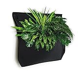 WallyGro Living Wall Pro 1 Pocket Planter for Indoor or Outdoor Use with Watering Channel,...
