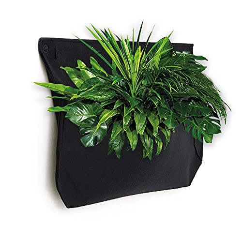Wallygrow 1-Pocket Wall Planter For Indoor Or Outdoor Use With Watering Channel, Wall-Hanging Planters For Plant Walls Anywhere (Black, Single) #TOP4