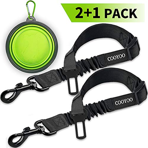 Best Dog Seat Belts