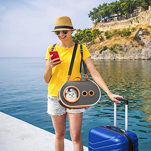 PETCUTE Transportbox Hund,Transportbox Katze,Atmungsaktive Transporttasche für Katze Hund,Haustiere Tragetasche mit Verstellbarer Schultergurt,Abnehmbare Matte,Hundetasche für Katzen und Hunde - Image 8