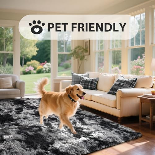 Black Grey Rugs for Bedroom Fluffy 4x6 Area Rug, Super Fuzzy Fur Living Room Carpet for Boys Dorm Office Nursery Modern Home Decor