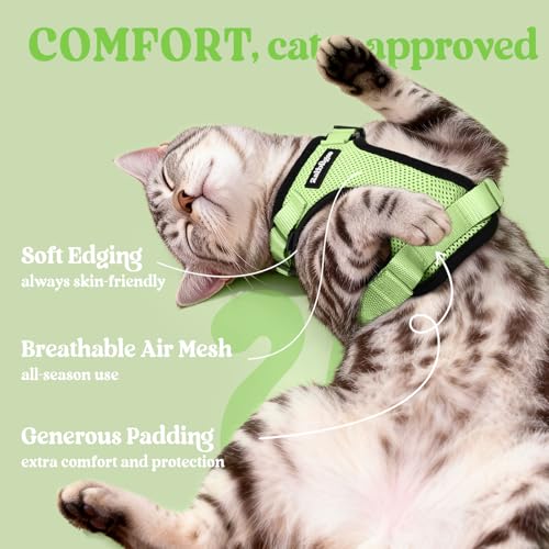 Image of rabbitgoo Cat Harness and Leash Set, Escape Proof Vest, Light Green | Soft Breathable Mesh, Easy Adjustable Fit, Snap Buckles, Sturdy Clip, Reflective Strips, for Medium to Large Cats Walks, M