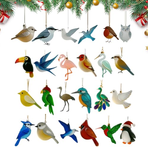 Tktouci Calendario de Adviento de de mar para Navidad, 2025-2D, decoración de acrílico con dije – 24 días de decoración temática de pájaros, cuenta regresiva de Navidad, para el hogar, árbol
