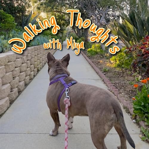 Walking Thoughts With Miya Podcast Por Miya Hantman arte de portada