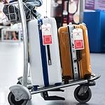 Carnival Consignes de bagages de croisière Porte-bagages carnivals Consigne tous les navires de ligne de croisière Tags(8 Boîte)