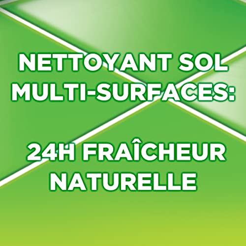 AJAX Nettoyant Ménager surfaces & Sol Fête des Fleurs Parfum Muguet Sans rinçage Idéal collectivités Grand Format Bidon de - vue 6