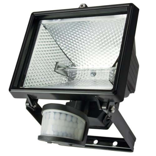 Pir Projecteur Halogène 240V Noir 500W
