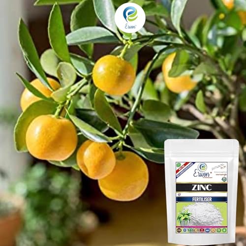 Image of Erwon Zinc Fertilizer, 100% pure, Premium Powerful Fertilizer for Overall Growth of Plants (1800 gm)