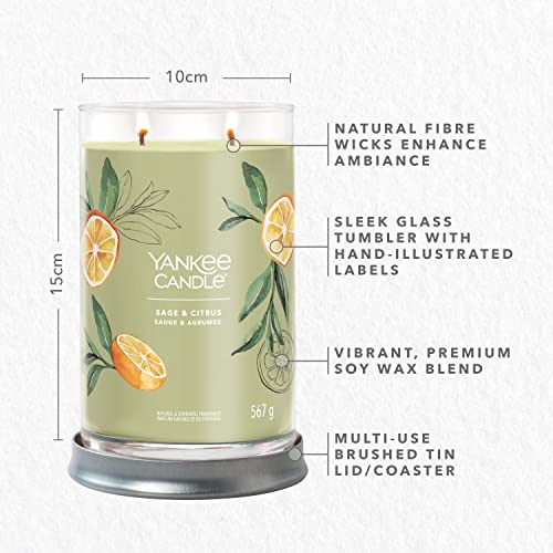 Yankee Candle Signature Scented Candle, Sage, Large - Image 4