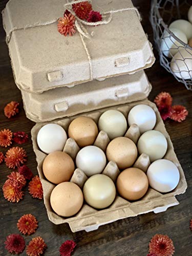 Vintage Blank Egg Cartons- Classic 3x4 Style Holds 12 Large Eggs, Sturdy Design Made from Recycled Cardboard (25) - Thumbnail 6