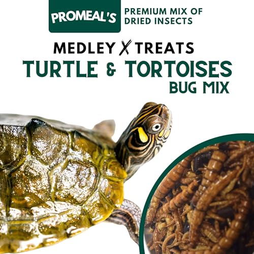 Image of Insect Medley Treat for Turtle and Tortoise - Nutritious Dried Mealworms, Superworms, Crickets & More - Natural, Protein-Rich Food Mix (30gm)