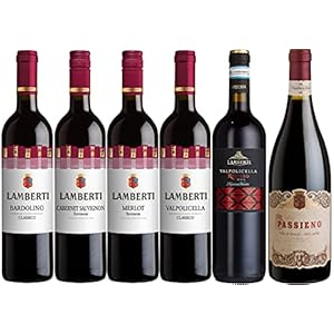 Lamberti Rotwein Topseller Italien Wein Probierpaket ( 6 x 0.75 l)