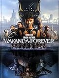 【映画パンフレット】 ブラックパンサー ワカンダ・フォーエバー ラマチック・アクション超大作が始まる。 監督 ライアン・クーグラー 出演 レティーシャ・ライト、ルピタ・ニョンゴ、ダナイ・グリラ、