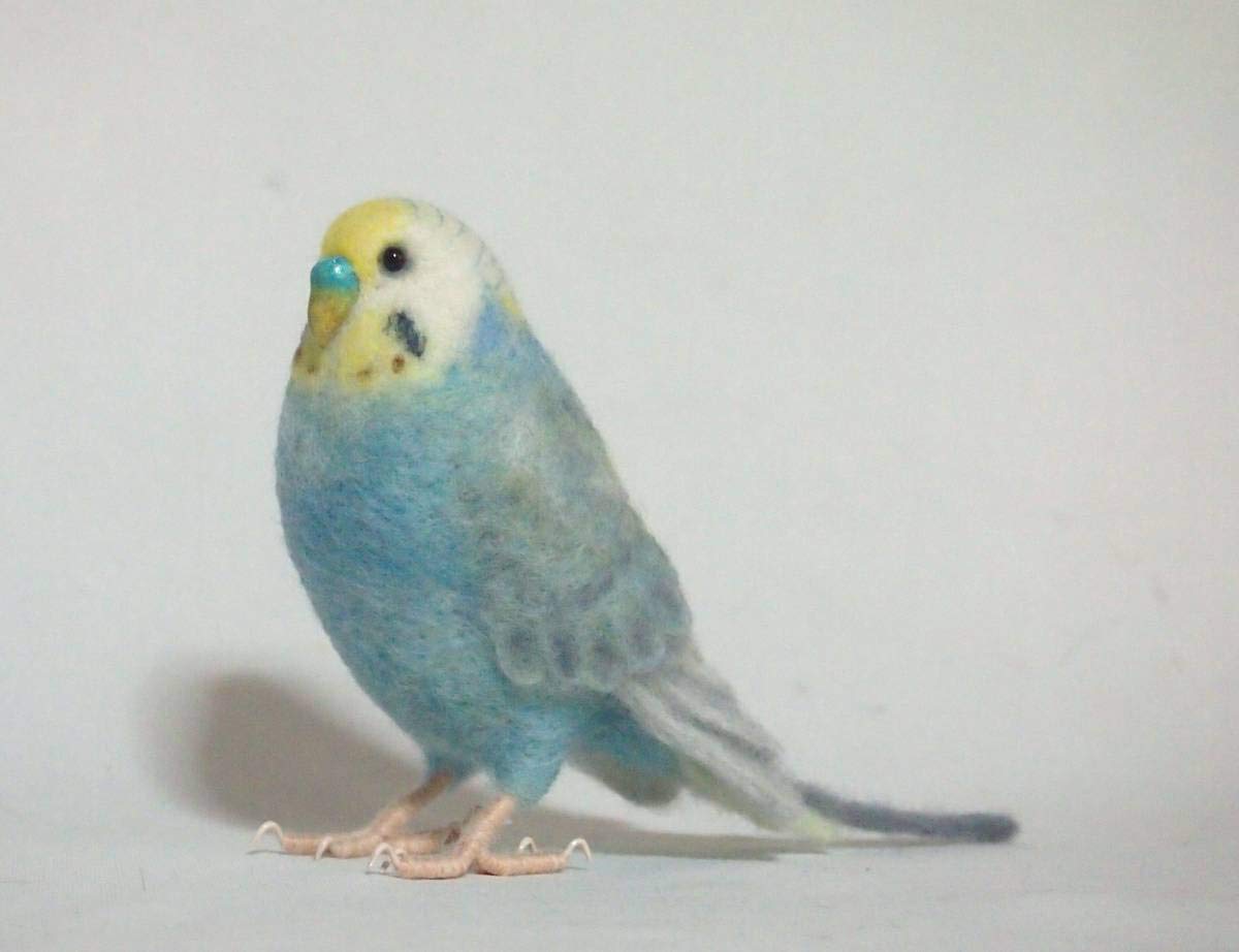 Amazon.co.jp: 羊毛フェルト 鳥 セキセイインコ（レインボー）オウム
