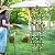 Garden Obelisk Trellis for Climbing Plants Outdoor 6.3 Feet Tall Rose Heavy Duty Metal Trellis Plant Support for Vines Clematis Flowers, Bronze