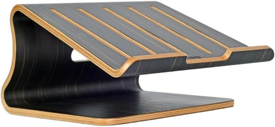 Laptop Stand with Low Heat Sink and Cooling Bracket(White-Dinosaur Doodle4)