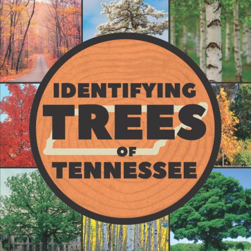 Top 10 Best Book For Identifying Trees Reviews & Buying Guide Katynel