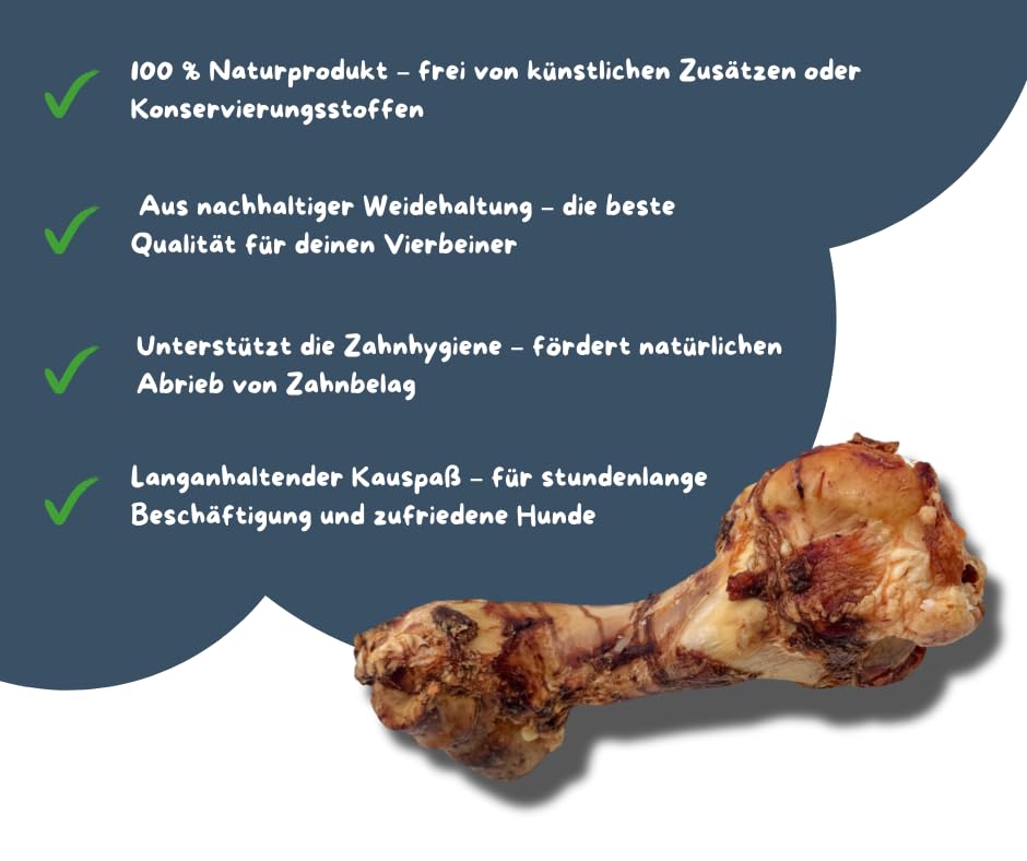 Irish Pure Adult - Atlantik Lachs 12kg + Power Bone - Hypoallergen & getreidefrei - Lachs & Kelp-Alge - Premium-Hundefutter + Snack im Vorteilspaket - 100% natürlich | Sparpaket | Bundle