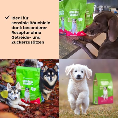 WAHRE TIERLIEBE - Geflügel Genuss - Premium Hundefutter Trocken, Made in Germany I Trockenfutter für Hunde, Getreidefrei & ohne Zuckerzusatz, Perfekt für Muskelaufbau & EIN Gesundes Fell