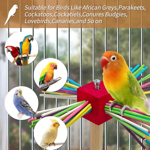 Image of Bird Perch Toy for Cage,Spinning Windmill Bird Perch Toy,360 Rotating Chewable Stand with Grinding Sticks,Interactive Cage /Tabletop Training Toy for Parakeets,Cockatiels,Lovebirds (Mixcolor, Square)