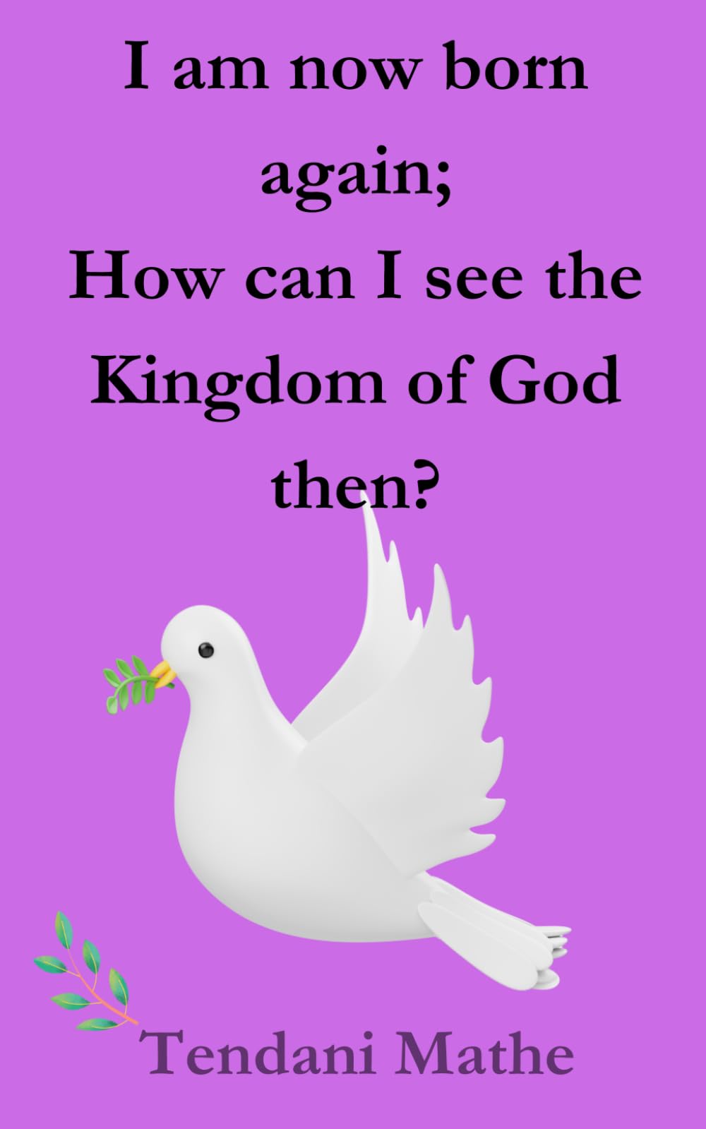 I am now born again;: How can I see the Kingdom of God then?