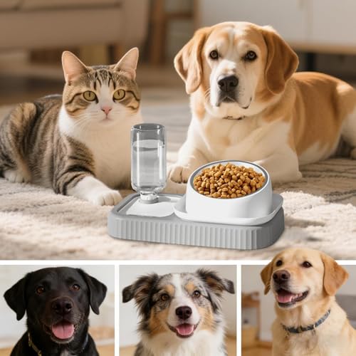 Gamelle d'eau anti-déversement pour chaton et chat