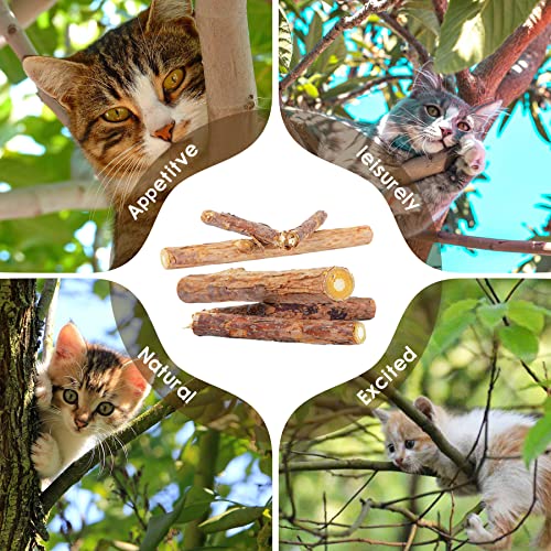 Rocendlor 24Pcs/Pack Silvervine Cat Chew Sticks- Natural Silver Rattan Cat Toys - Catnip Chew Toys For Kittens Kitty Cats-Silver Vine For Cats- Matatabi Sticks -Teeth Cleaning Toys-Make Cats Happy #TOP2