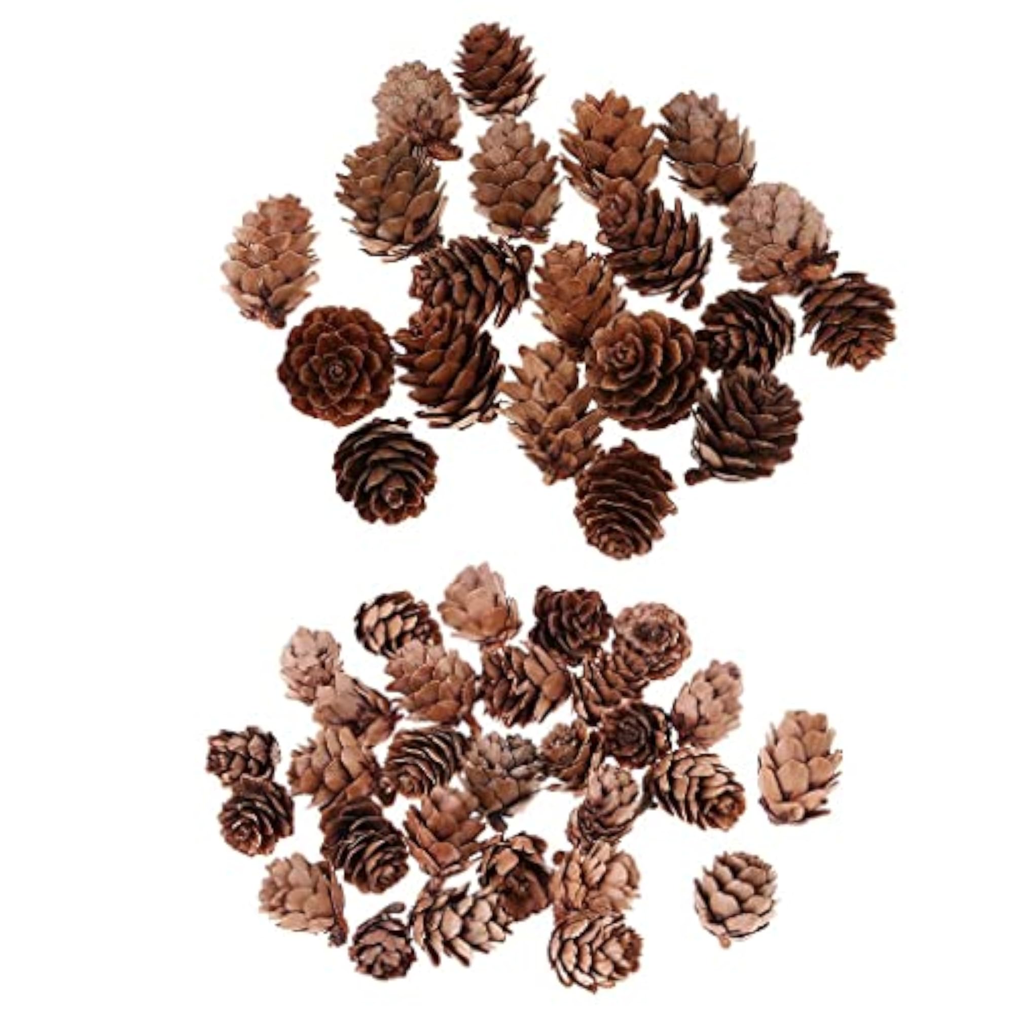 Big and Small Pine Cones Craft Set for DIY Projects