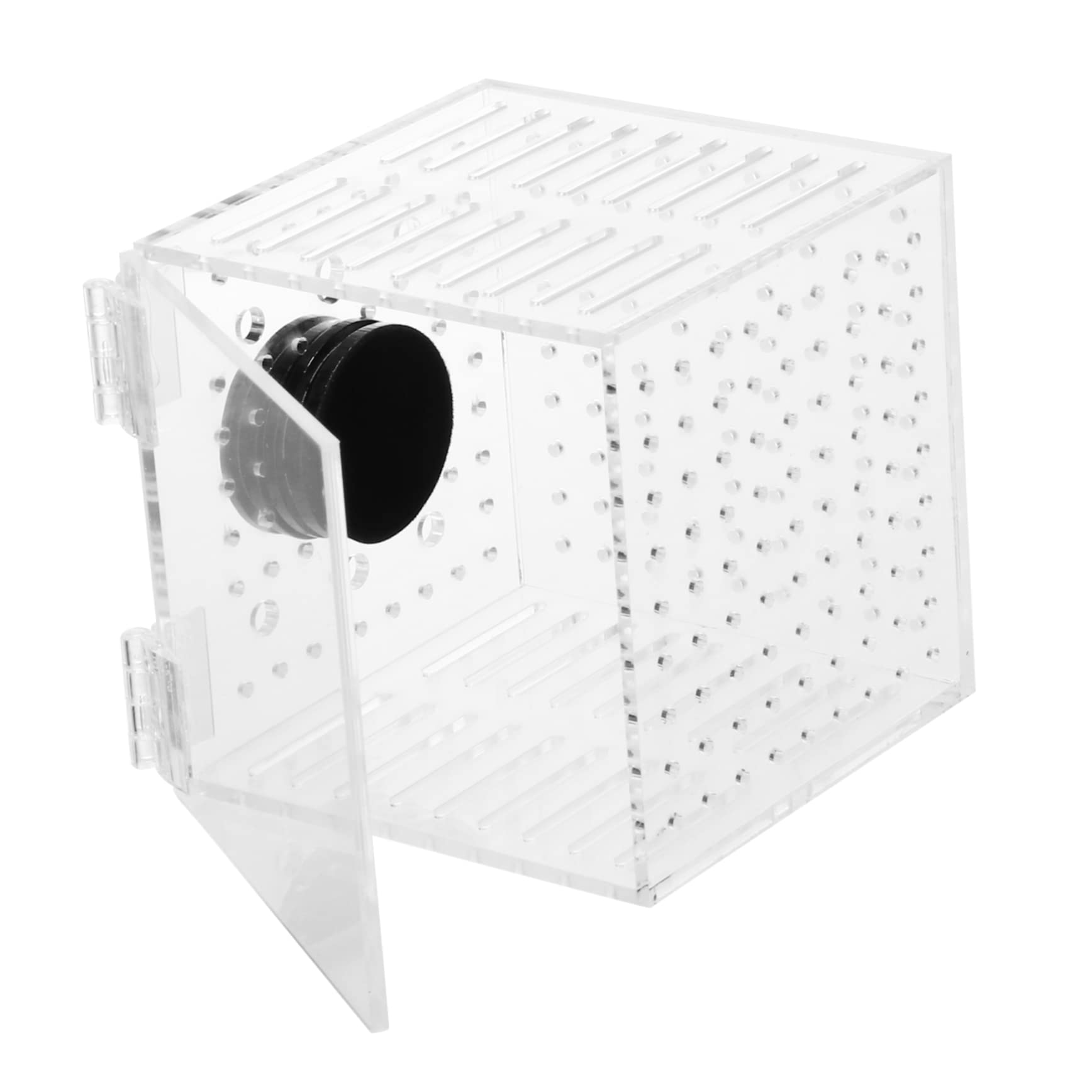 1pieza Caja De Aislamiento para Peces De Ventilación Incubadora para Cría De Peces Separador De Acuario Magnético Diseño Transparente Aumenta La Supervivencia De Alevines