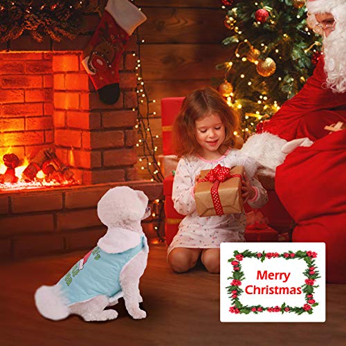 DECDEAL Cachorro Casaco de inverno Roupas Cachorro Roupa de inverno para filhotes Presente de Natal