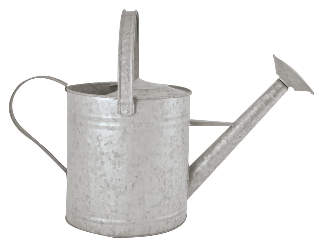 Fallen Fruits 3,5 L Arrosoir Zinc Vieilli