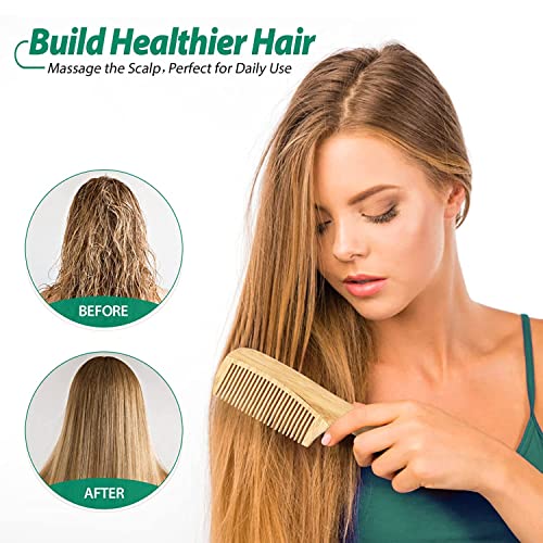 Go Well Kacchi Neem Comb, Wooden Comb | Hair Growth, Hairfall, Dandruff Control | Hair Straightening, Frizz Control | Comb for Men, Women | Treated with Oil (All Combo)