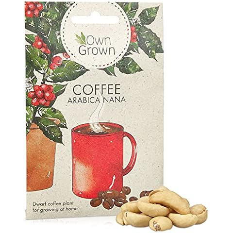 Dwarf Arabica Coffee Seeds: Premium Coffee Seeds for Growing 5 Coffee Plants - Grow your own Coffee Plant - Coffee Plants for Gardening Outdoor and House Plants Indoor - Indoor Plant Seeds by OwnGrown Cover
