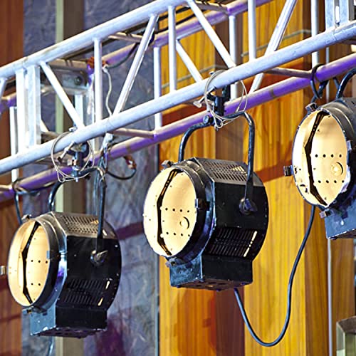 Sicherheitskabel 20 Stück, Czgor 80cm Edelstahl-Sicherheitskabel mit Karabinerverschluss Beleuchtung Absturzprävention Sicherheitskabel Sicherungsseil für DJ-Bühnenbeleuchtung Gepäckschloss(50kg)