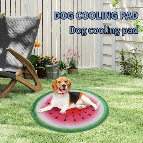 Tapis rafraîchissant pour chien réutilisable matelas auto-refroidissant
