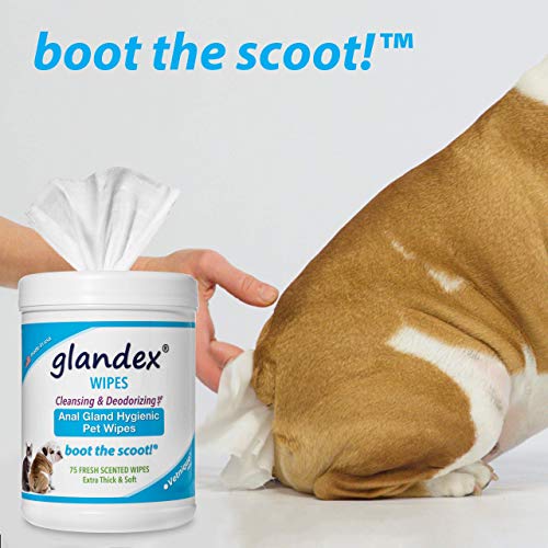 Glandex Pet Wipes - Image 5