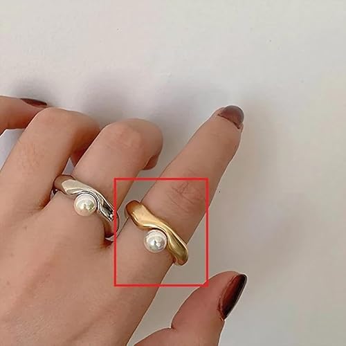 S[h  Vv ^ ꗱ p[ I[v O #C580-6