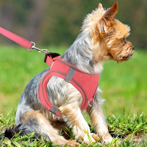 Joytale Step in Dog Harness,Soft Mesh Reflective Breathable Vest Harnesses,Easy Walk Harness with Safety Buckle for Extra Small and Small Dogs,S,Pink - Image 2