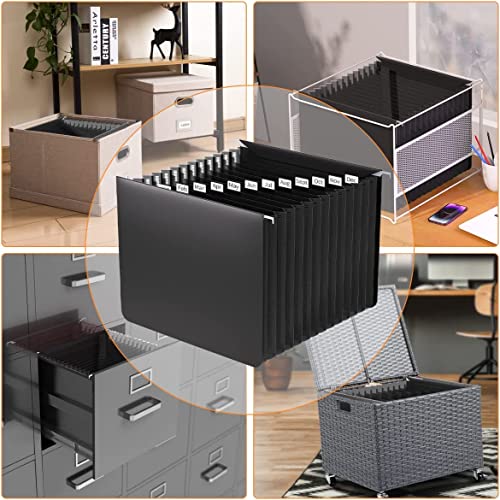 Plastic Expanding Hanging File Folders Letter Size,13 Expandable Pockets,Colored Monthly Tabs,Innovative Accordion Hanging Folder For Filing Cabinet,Fun Storage Office Supplies,Black #TOP6