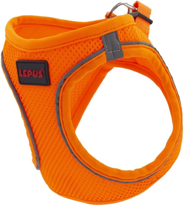 Lepus Pet Air Mesh Turuncu Göğüs Tasması Small