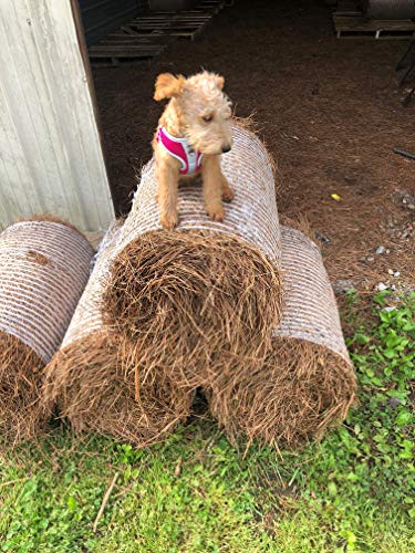 Pine Straw Mulch - Premium, All-Natural, Loose in Box - 50-60 sqft