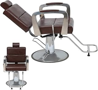 LipomA Artist Hand Salon Chair for Hair Stylist, Stylist Chair with Heavy Duty Hydraulic Pump, 360°Swivel Spa Beauty Equipment for Hair Stylist Women Man