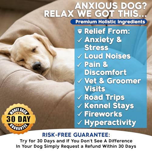 Calming Chews for Dogs  Dog Calming Treats Made in Usa Vet Developed Dog Anxiety Relief Separation Fireworks Travel  Stress Support Melatonin Natural  Holistic 90 Calming Treats  Cucciolini Doodles Calming chews for dogs  dog calming treats made in usa vet developed dog anxiety relief separation fireworks travel  stress support melatonin natural  holistic 90 calming treats   cucciolini doodles