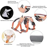 BELPRO Mehrzweck-Hundegeschirr, ausbruchsicher, kein Ziehen, reflektierend, verstellbare Weste mit strapazierfähigem Griff, Hundegeschirr für große/aktive Hunde(Orange, M)