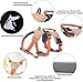 BELPRO Mehrzweck-Hundegeschirr, ausbruchsicher, kein Ziehen, reflektierend, verstellbare Weste mit strapazierfähigem Griff, Hundegeschirr für große/aktive Hunde(Orange, M)