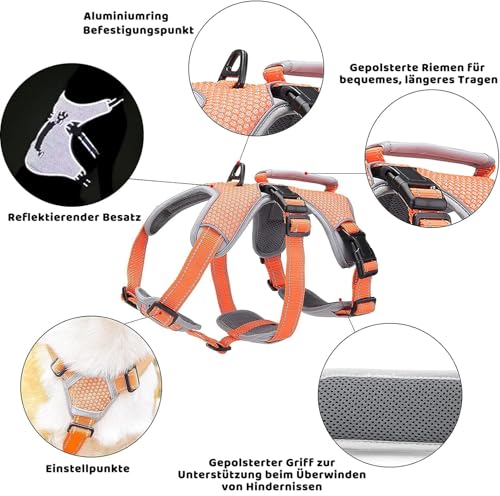 BELPRO Mehrzweck-Hundegeschirr, ausbruchsicher, kein Ziehen, reflektierend, verstellbare Weste mit strapazierfähigem Griff, Hundegeschirr für große/aktive Hunde(Orange, S)