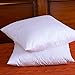 Two Pillow Inserts, 20 X 20 Inch, Down and Feather Throw Pillow Insert, The Fabric is Cotton, Decorative Throw Pillows Insert. These Products are Only Sold by DOWNIGHT and Fulfilled by Amazon.