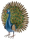 Green Jem Pfau Metall Garten Dekoration, Mehrfarbig, 25 x 64 x 64 cm