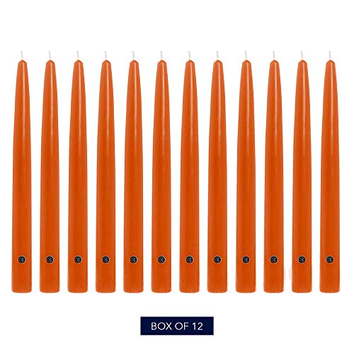Image of Colonial Candle Unscented Taper Candle, Handipt Collection, Pumpkin, 10 in, Pack of 12 - Up to 8 Hours Burn